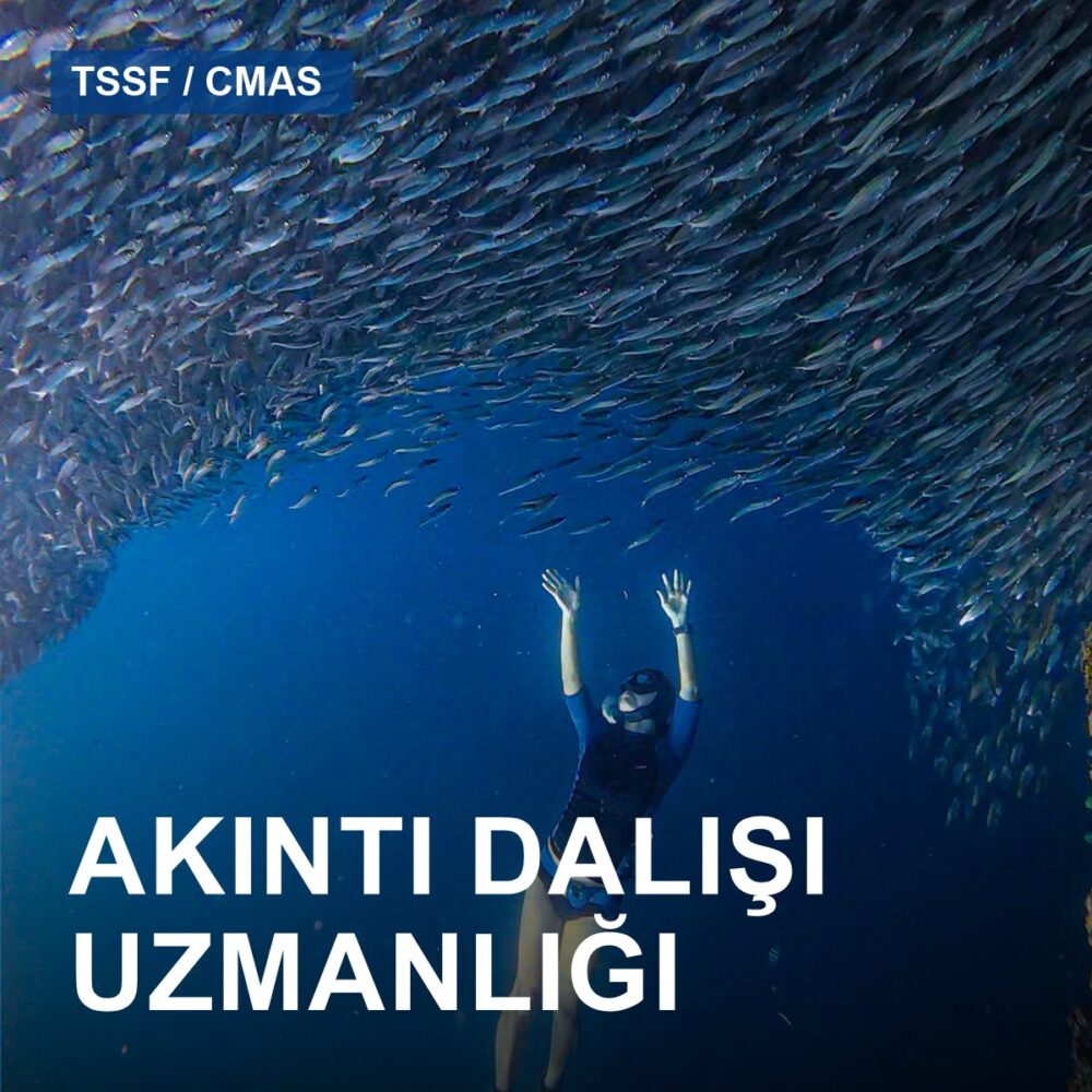 TSSF Akıntı Dalışı Uzmanlığı