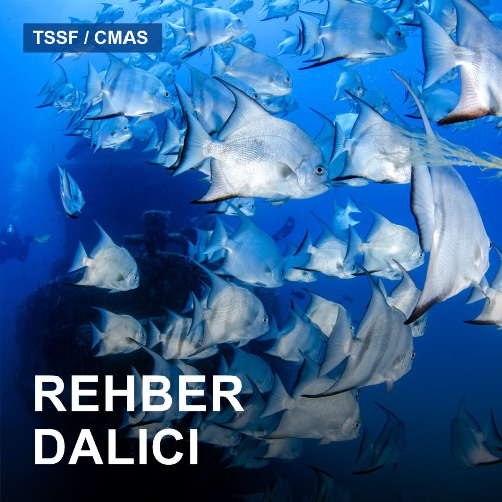 TSSF/CMAS Rehber Dalıcı Kursu