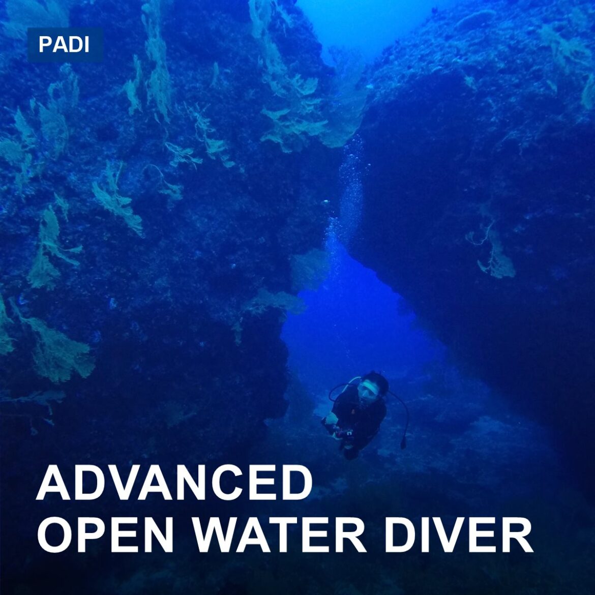 Advanced Open Water Diver (AOWD)