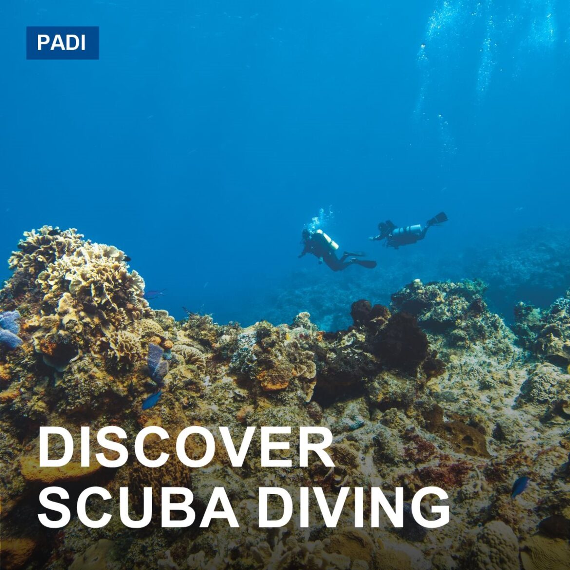 Discover Scuba Diving (DSD)