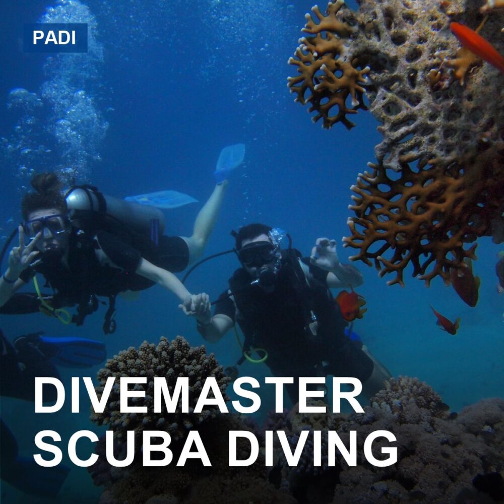 Divemaster Scuba Diving