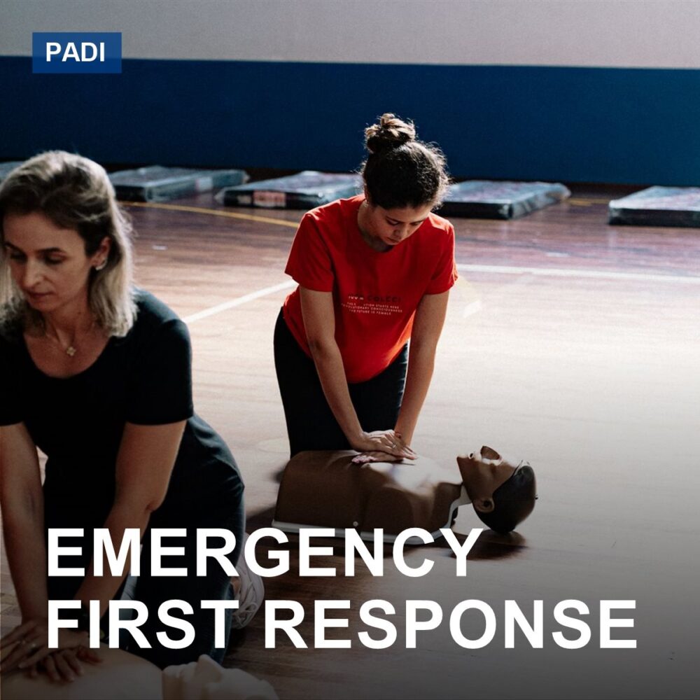 Emergency First Response (Acil İlk Müdahale Kursu) (EFR)