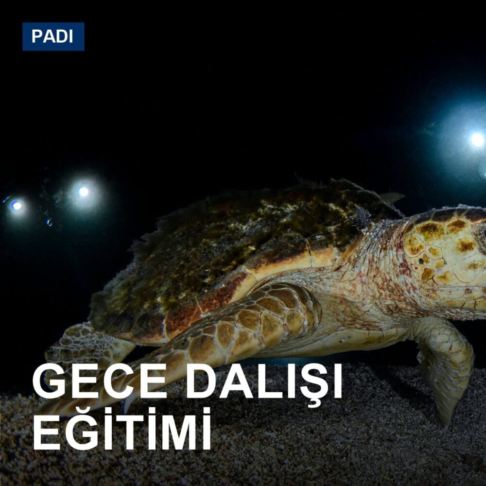 Gece Dalışı Eğitimi