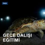 Gece Dalışı Eğitimi