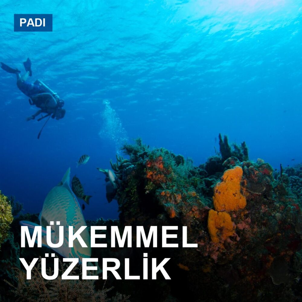 Mükemmel Yüzerlik Eğitimi
