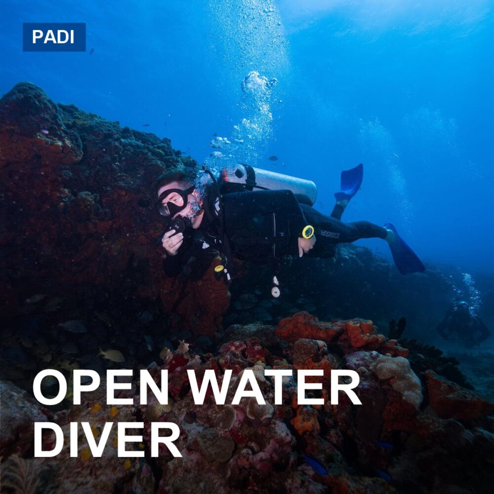 Open Water Diver (OWD)