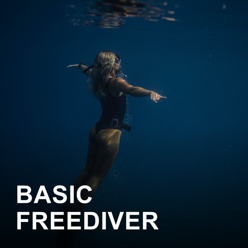 Basic Freediver