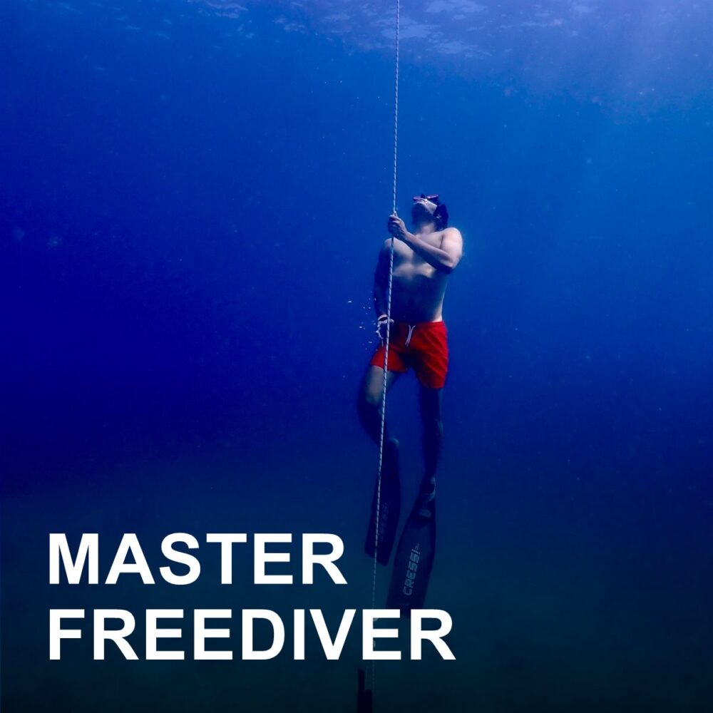 Master Freediver