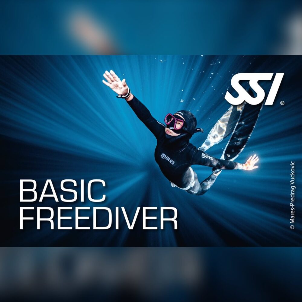 Basic Freediving Eğitimi