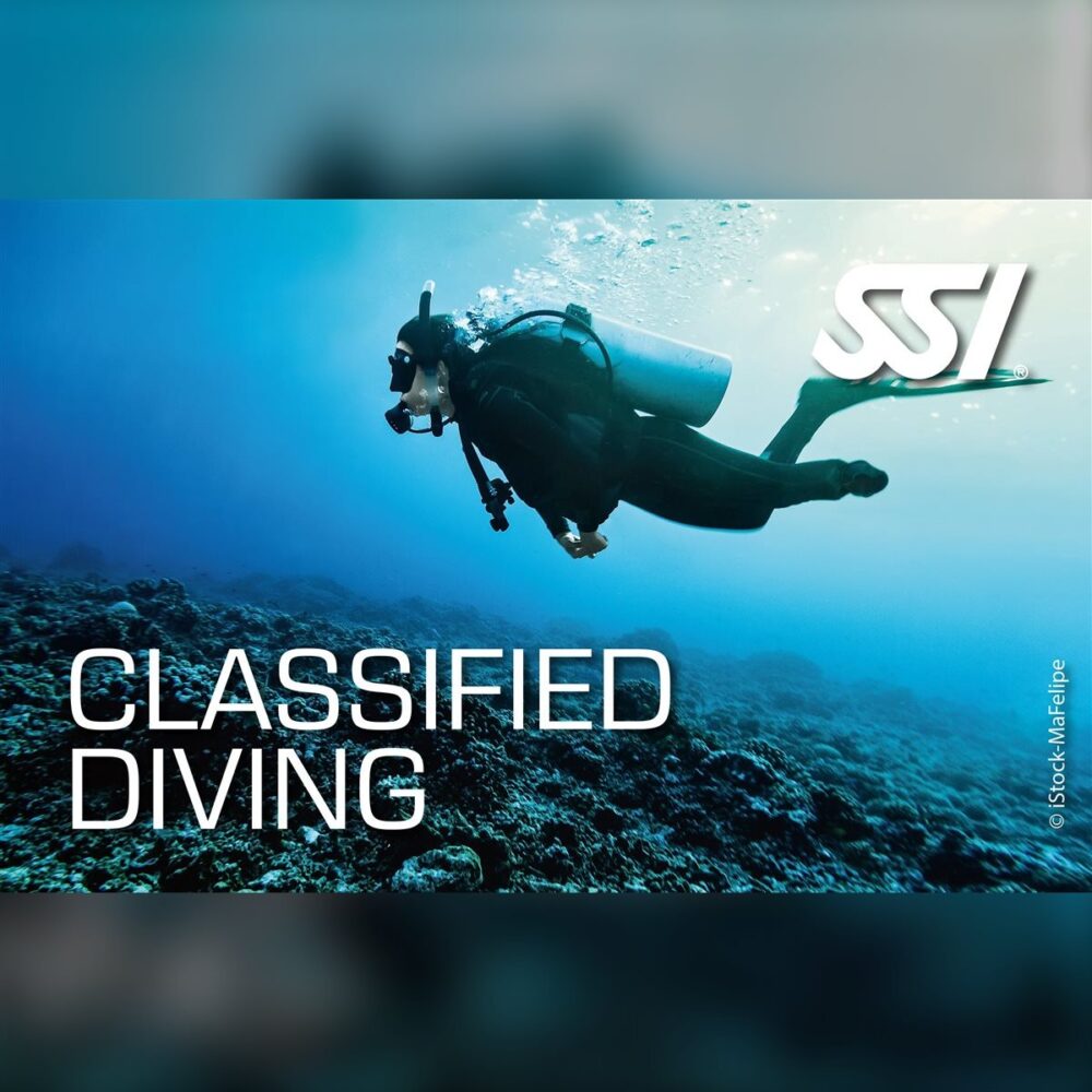 Classified Diving Programı