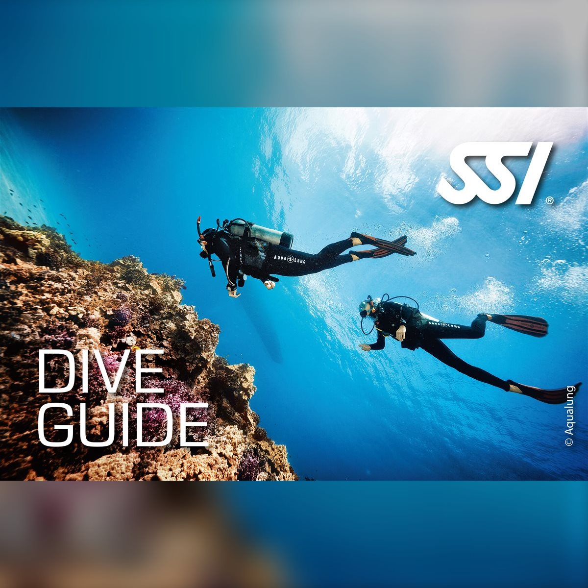 Dive Guide Eğitimi