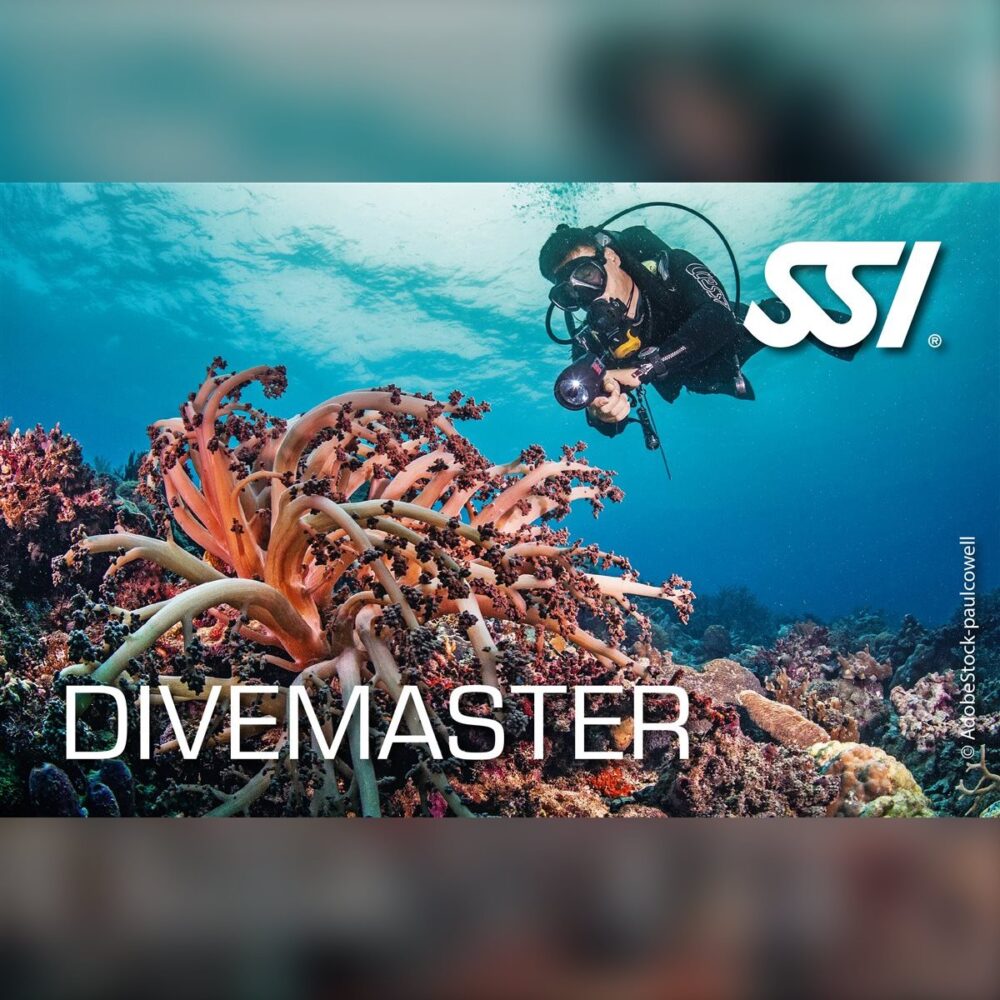 Divemaster Eğitimi