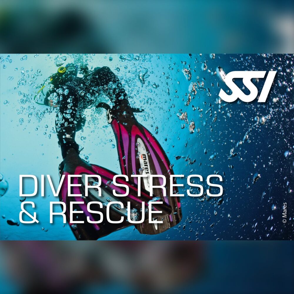 Stress & Rescue Diver Eğitimi