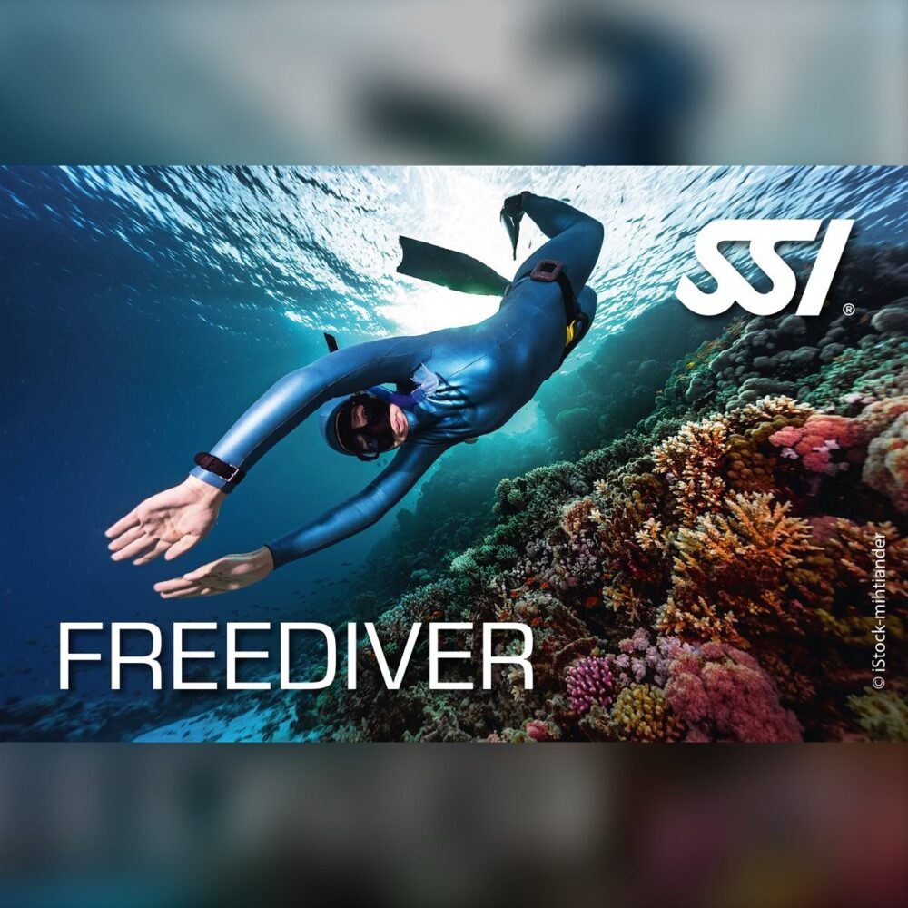 Freediver (Level 1) Eğitimi
