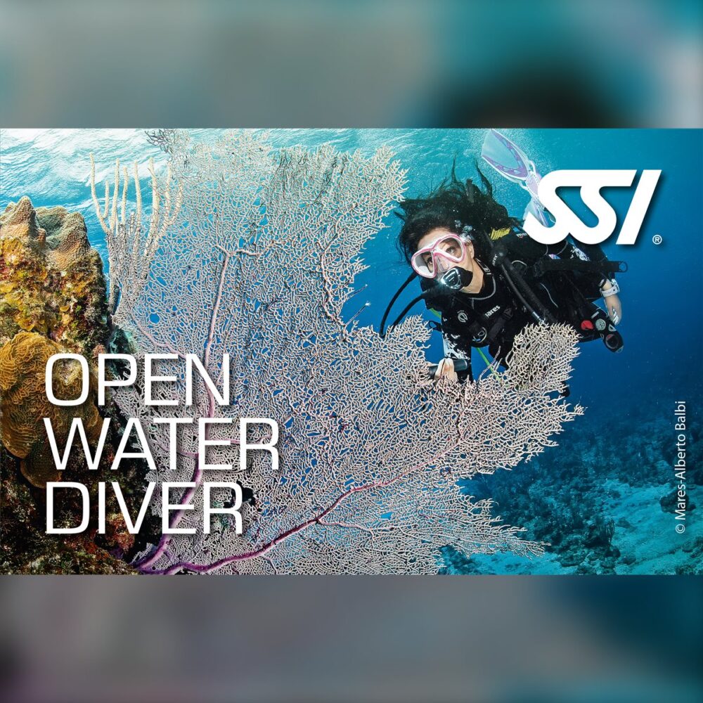 Open Water Diver (OWD) Eğitimi