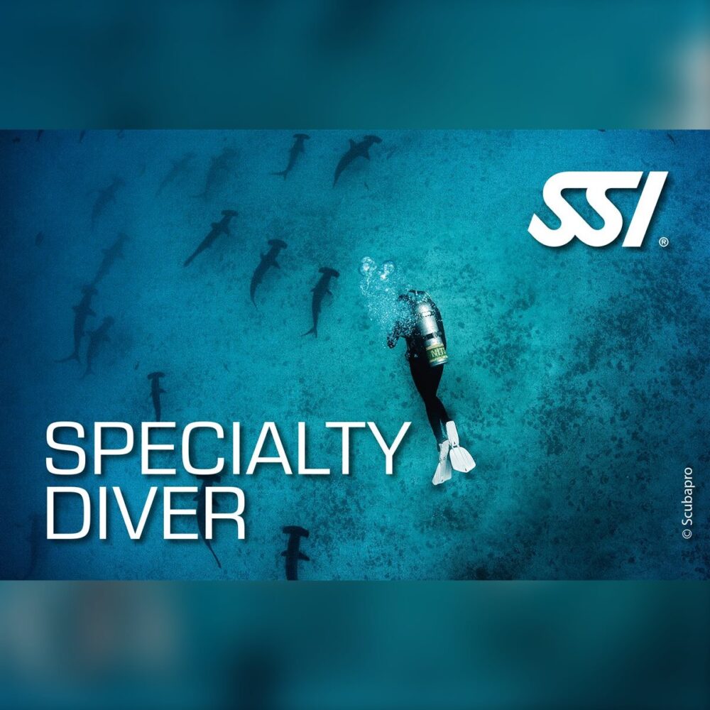 Specialty Diver Eğitimi