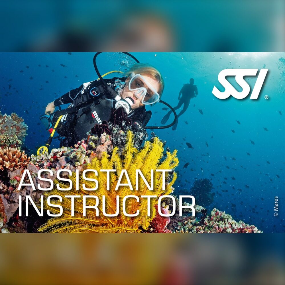 SSI Assistant Instructor