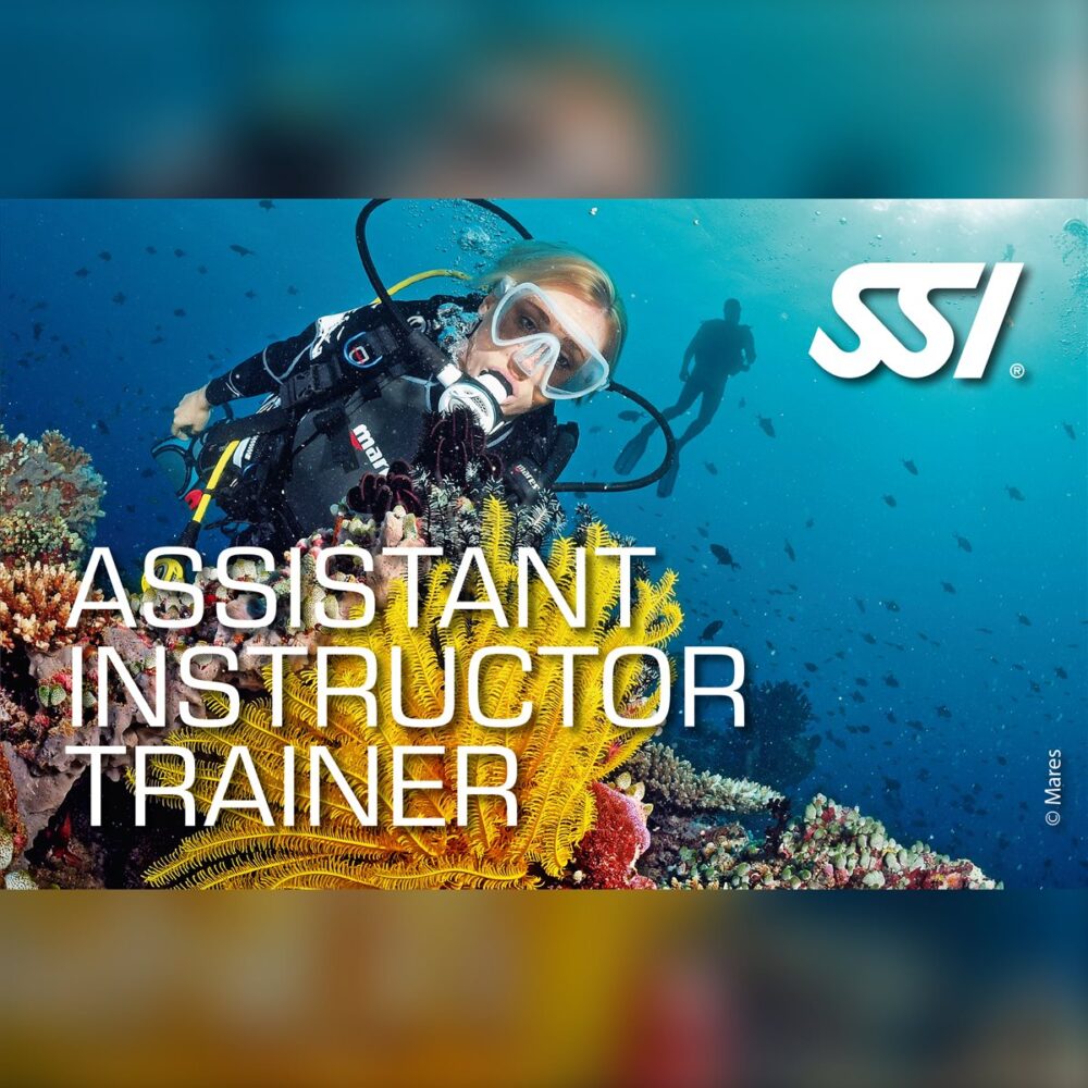 SSI Assistant Instructor Trainer