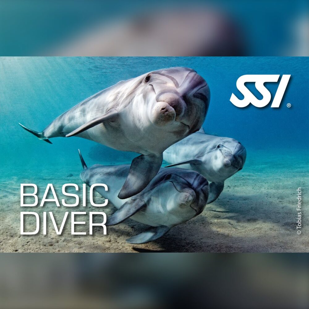 SSI Basic Diver