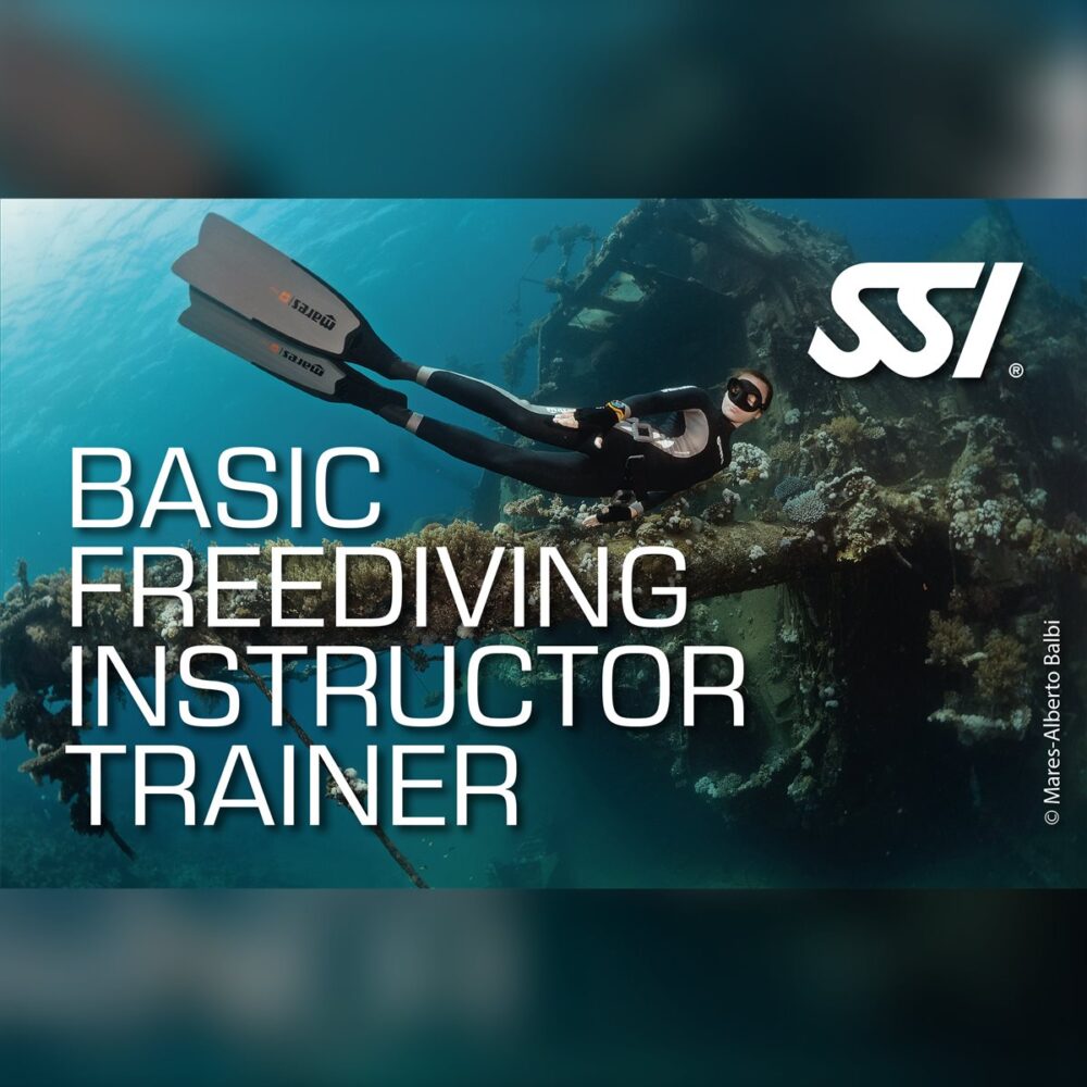 SSI Basic Freediving Instructor Trainer