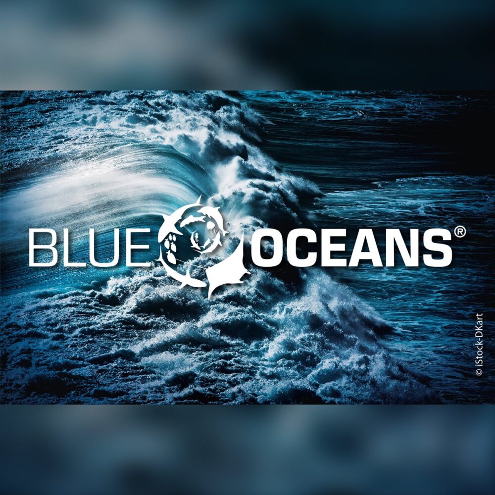 SSI Blue Oceans