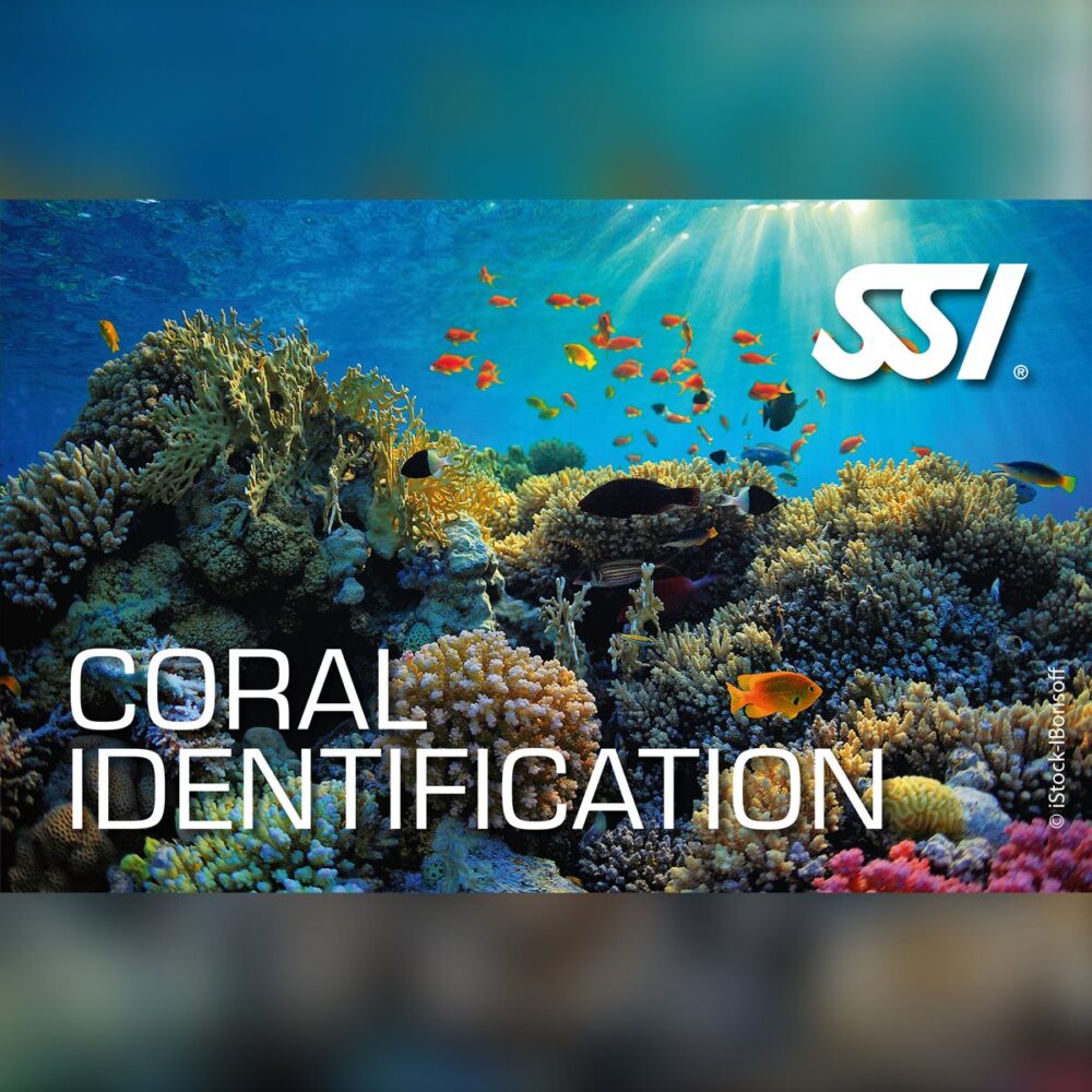 SSI Coral Identification Specialty