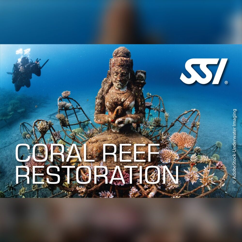 SSI Coral Reef Restoration Specialty