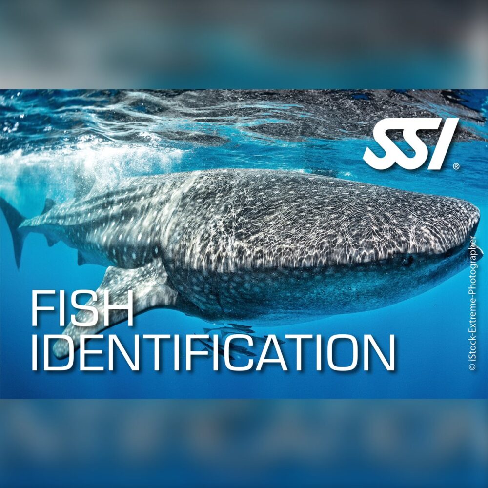 SSI Fish Identification Specialty
