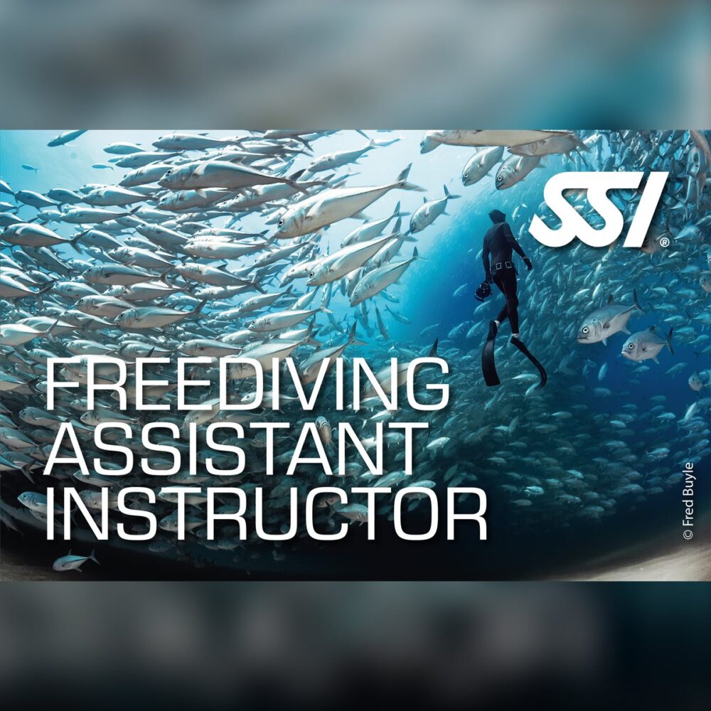 SSI Freediving Assistant Instructor