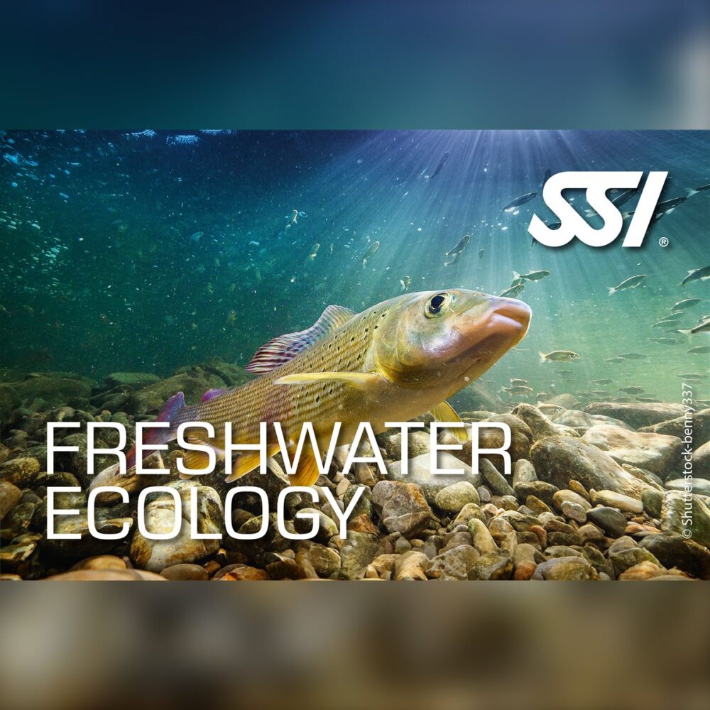 SSI Freshwater Ecology Specialty