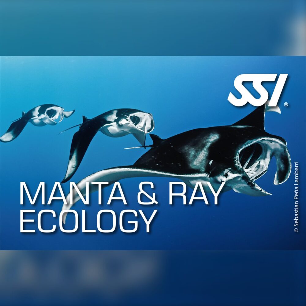 SSI Manta & Ray Ecology Specialty