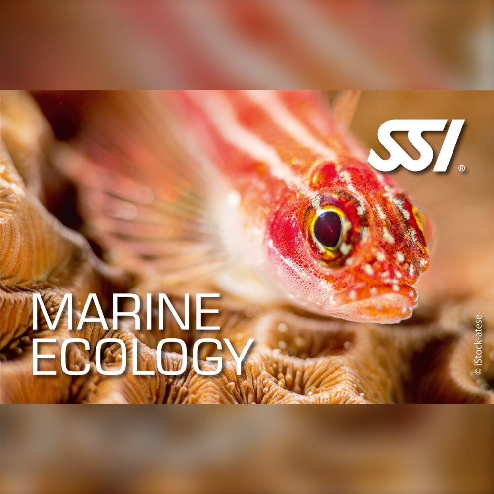 SSI Marine Ecology Specialty