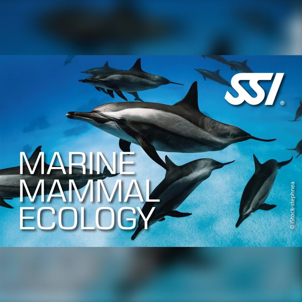 SSI Marine Mammal Ecology Specialty