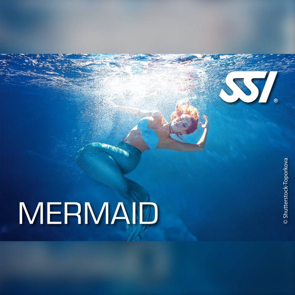SSI Mermaid