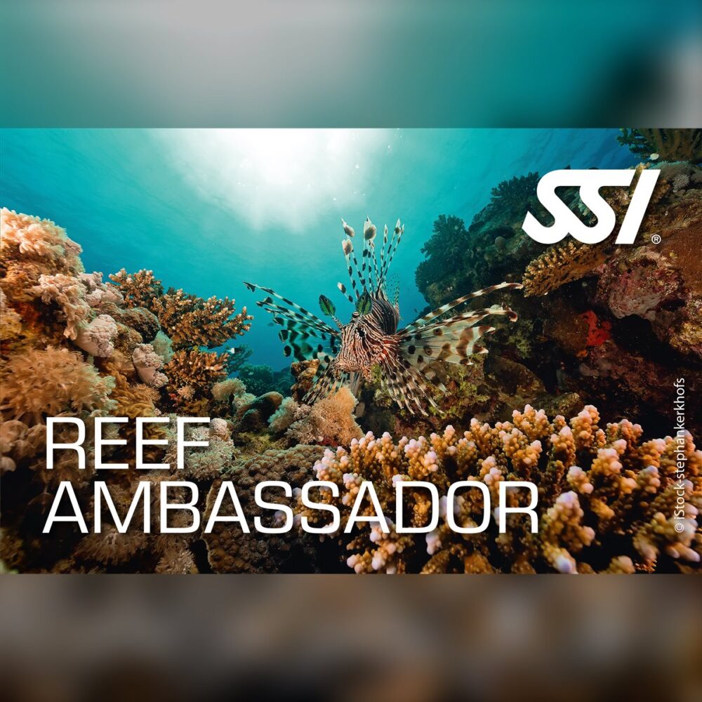 SSI Reef Ambassador