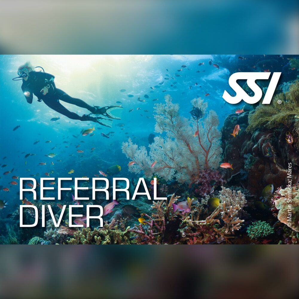 SSI Referral Diver