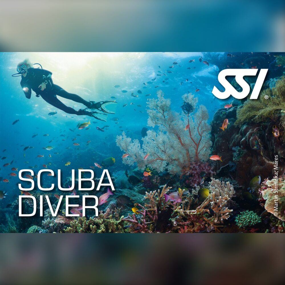 SSI Scuba Diver
