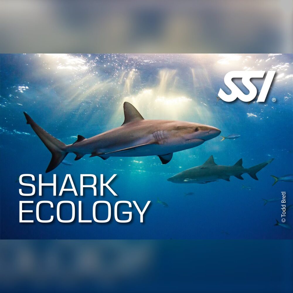 SSI Shark Ecology Specialty