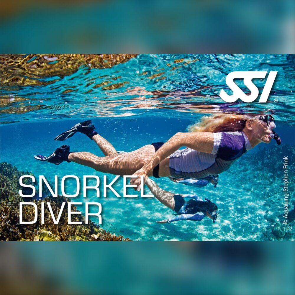 SSI Snorkel Diver