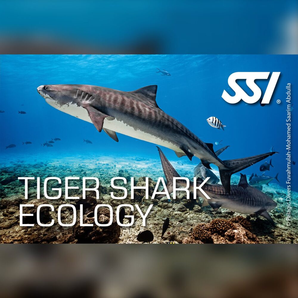 SSI Tiger Shark Ecology Specialty