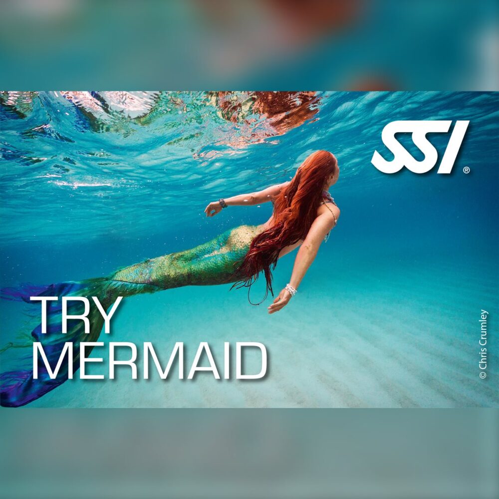 SSI Try Mermaid (Deniz Kızı Deneme)