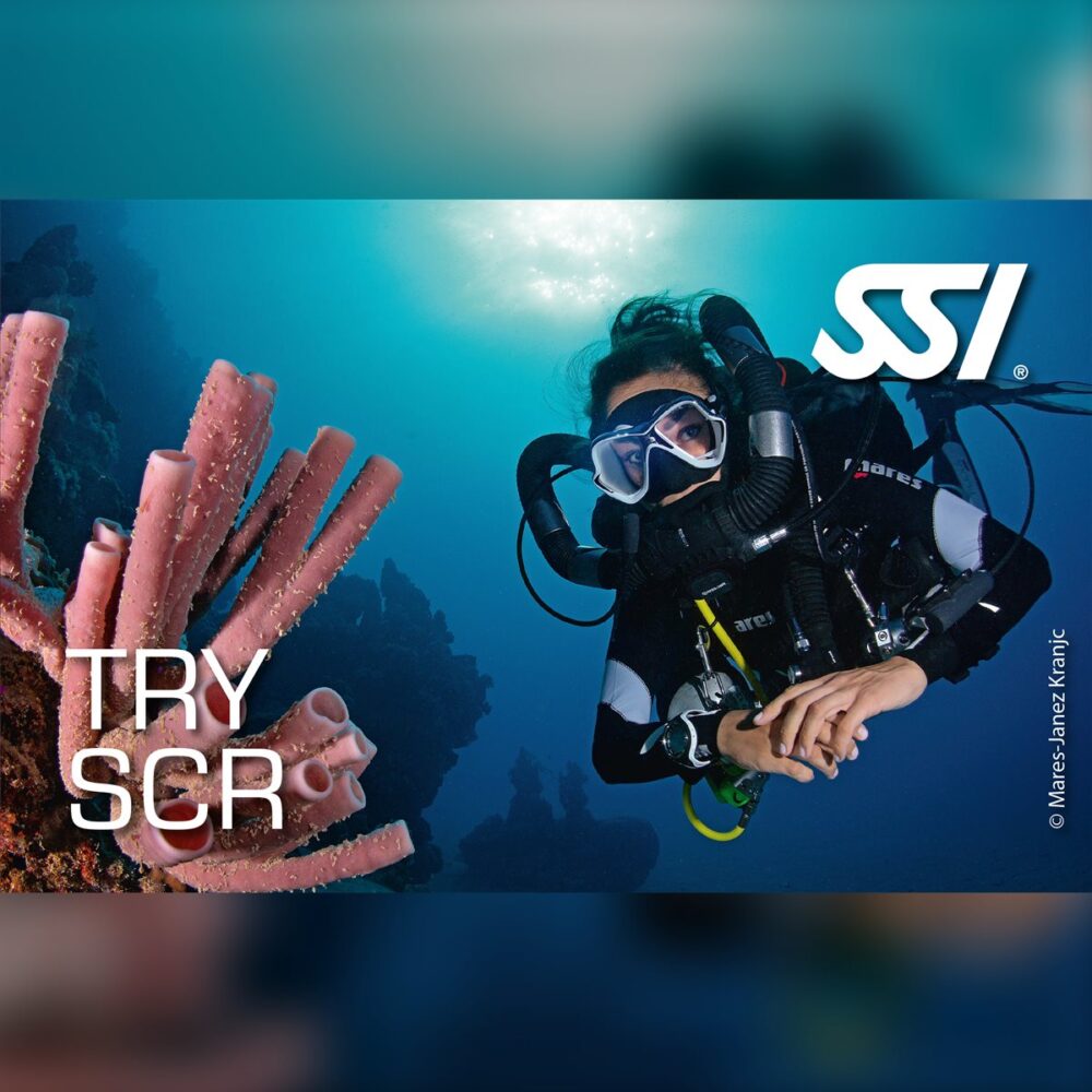 SSI Try SCR (Yarı Kapalı Devre Deneme)