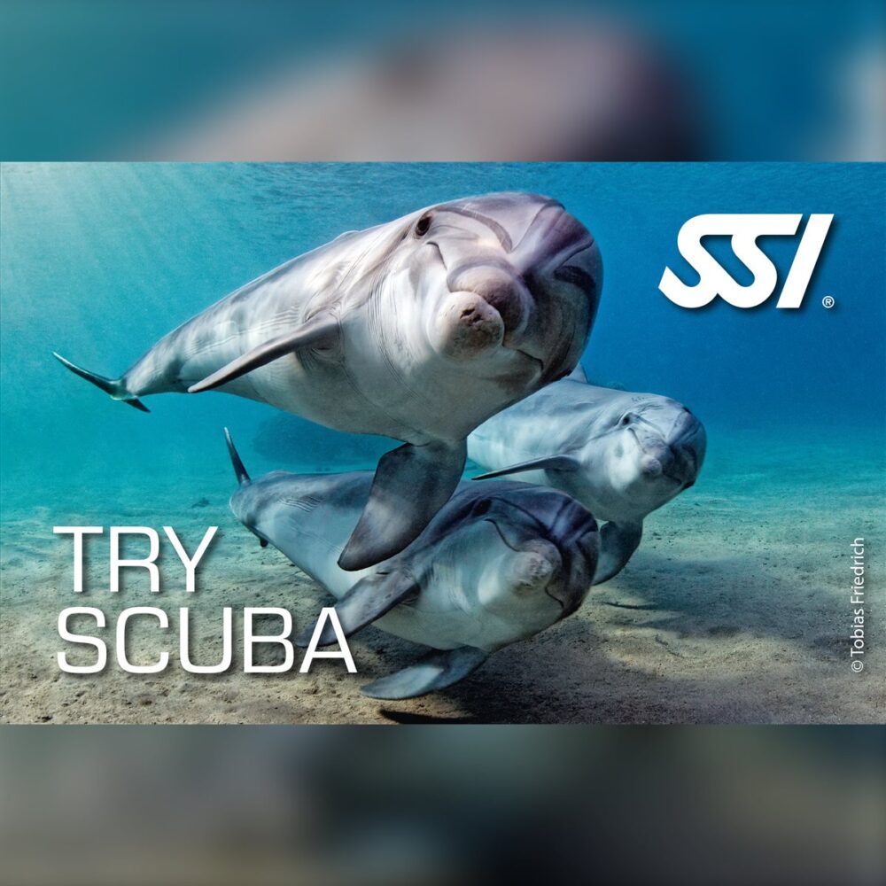 SSI Try Scuba (Deneme Dalışı)