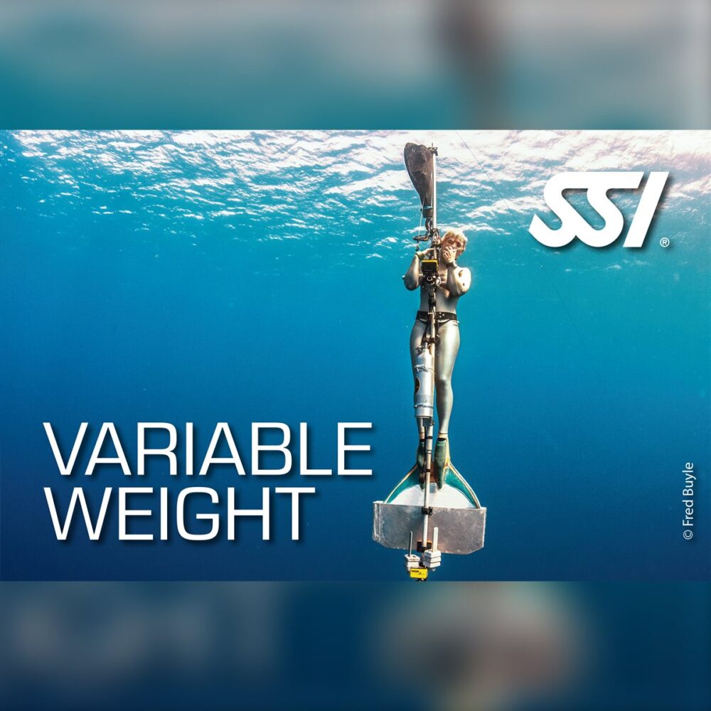 SSI Variable Weight Specialty